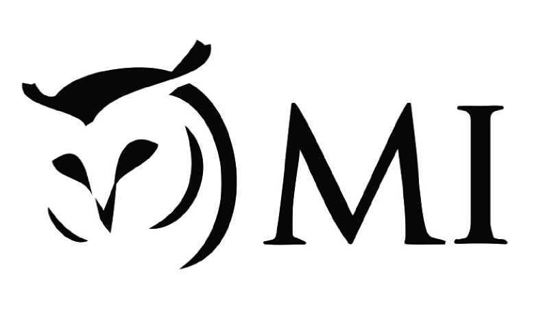 Minerva Intelligence